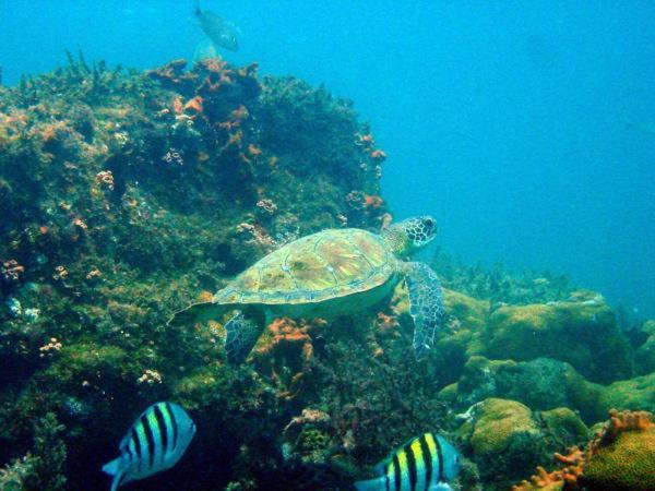 Pousada Tropical Aracatiba Praia de Araçatiba Dış mekan fotoğraf